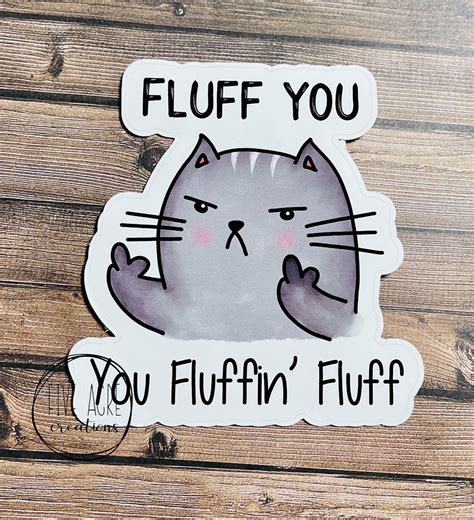 Funny Waterproof Weatherproof Vinyl Sticker Fluff You Kitty Etsy