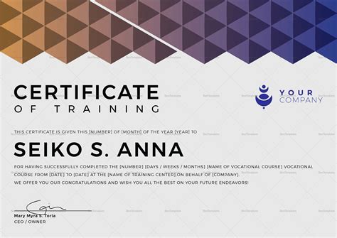 Certificate Of Training Template Word Best Of Printable Certificates Of ...