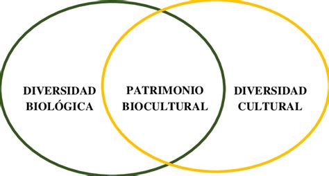 Patrimonio Biocultural Download Scientific Diagram