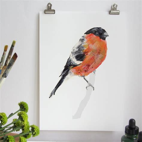 Bullfinch Art Print — Abby Cook Illustration