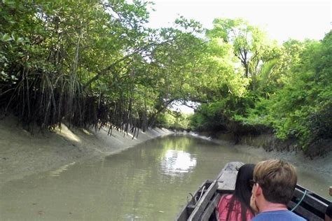 Private Sunderbans Tiger Reserve Sightseeing Tour – Apollo Voyages ...