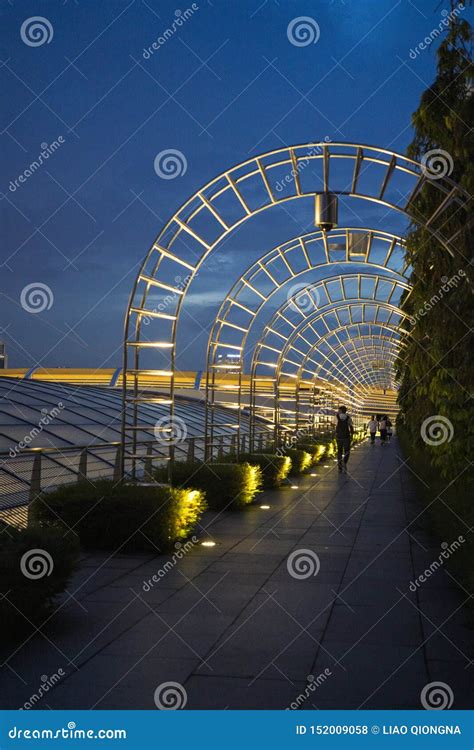 Marina Bay Sands Garden in the Evening Editorial Stock Photo - Image of ...