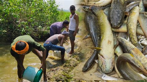 मछली पकड़ने का नया तरीका Fish Catching Techniques In Pond तालाब