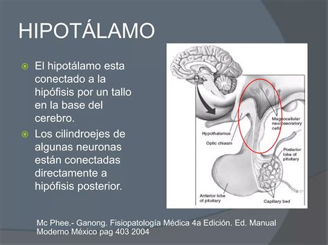 Hipopituitarismo Ppt