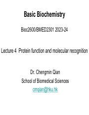 Bioc M L Protein Function And Molecular Recognition Pdf Basic