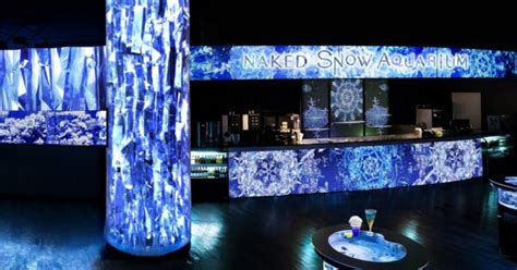 写真冬の海の世界に没入する アクアパーク品川NAKED SNOW AQUARIUM開催あとなびマガジン