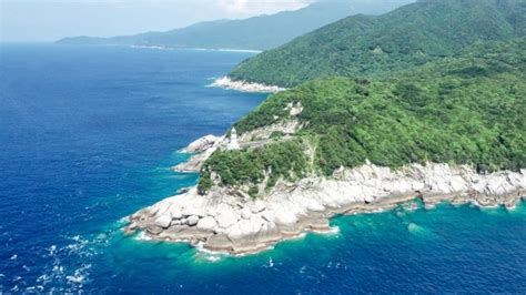 Yakushima National Park Tourist Spots Play Leisure Feature | Activity Japan