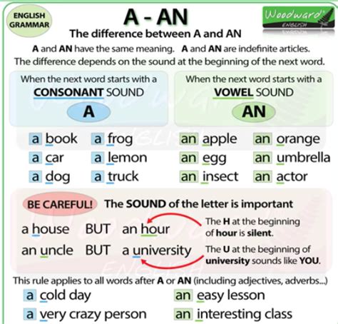 Retocar Monta A Podar Reglas Del Plural Y Singular En Ingles Mago