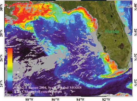 Composite Image Of Surface Ocean Chlorophyll A Concentration From Download Scientific Diagram