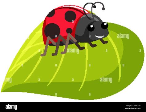 One Ladybug On Green Leaf On White Background Illustration Stock Vector Image And Art Alamy