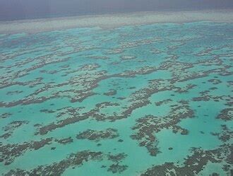 great barrier reef wikipedia