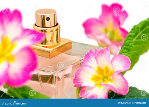 Perfume and flowers stock image. Image of deodorant, flowers - 22864591