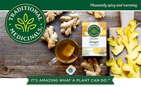 Traditional Medicinals Organic Ginger Tea 16 Tea Bags Pack Of 1