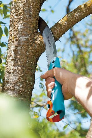 Combisystem Snoeizaag 300pp Gebogen Boom En Struikonderhoud