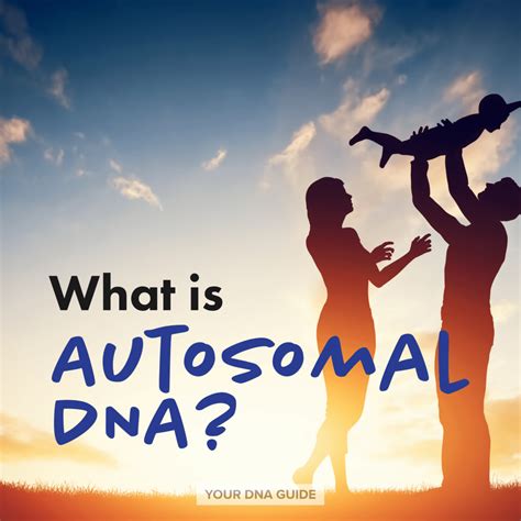 What is Autosomal DNA | atDNA | Autosomal DNA Test