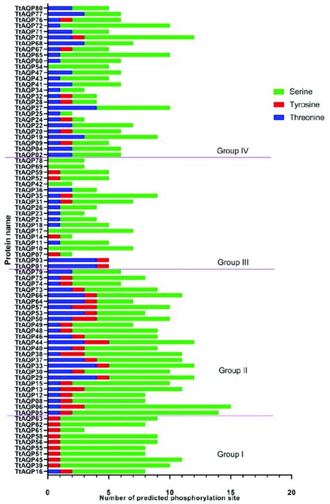 Prediction of phosphorylation site in TtAQPs based on three amino ...