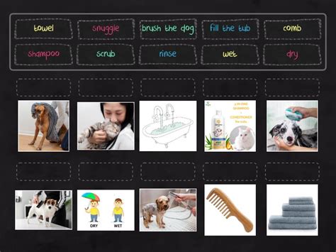 Imperative Verbs Equipment Une Las Parejas