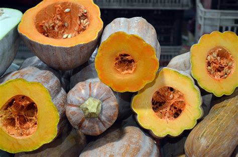 winter squash  stock photo public domain pictures