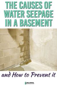 What is Water Seepage in a Basement: Causes and Signs to Look For ...