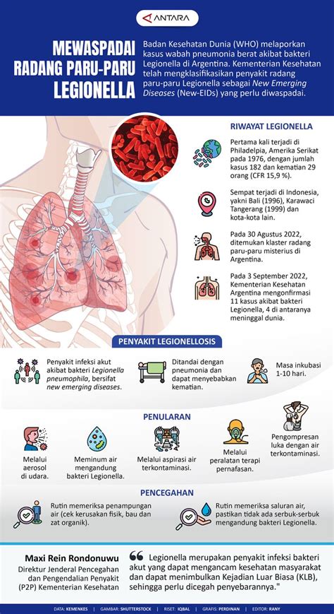 Mewaspadai Radang Paru Paru Legionella Infografik ANTARA News