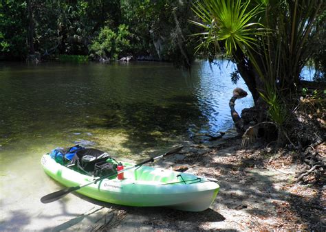 Views From Our Kayak: Salt Springs Run