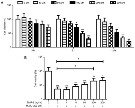 Bmp Protects Retinal Pigment Epithelial Cells From Oxidative Stress