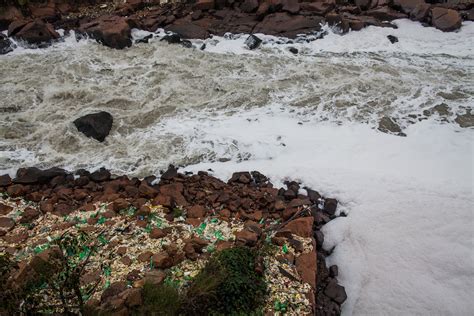 Fotos Seca Deixa Margens Do Rio Tietê Repletas De Lixo Fotos Em