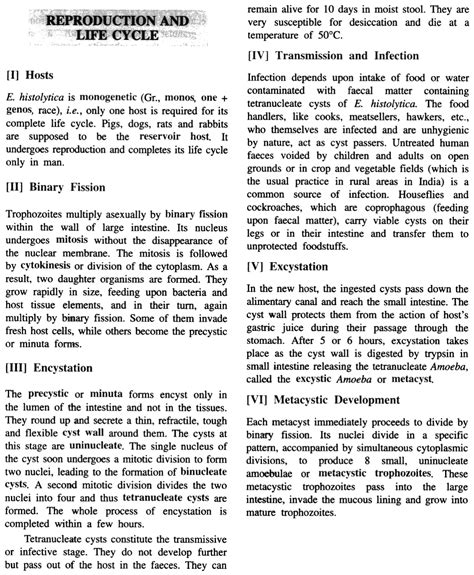 Life Cycle Of Entamoeba Histolytica Explain