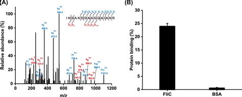 Purification And Characterization Of Flic As A Heparin Binding Protein