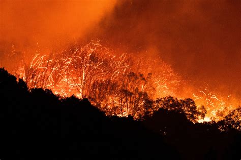 Reporte Oficial Por Los Incendios En Argentina 7 Provincias Continúan