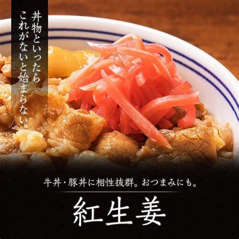 お中元ギフト 吉野家公式ショップ 【冷凍】 大人気5品11袋セット（牛丼・豚丼・牛焼肉・焼鶏・紅生姜） 吉野家牛丼 牛丼の具 冷凍食品 お中元