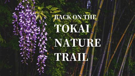 Days 45 46 Hiking in Japan on the Tokai Nature Trail 東海自然歩道 Tokai