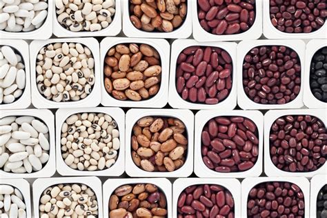 The Trouble With Lectins | Food | US News