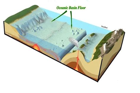 CHARACTERSTICS AND ORIGIN OF OCEANIC BASIN