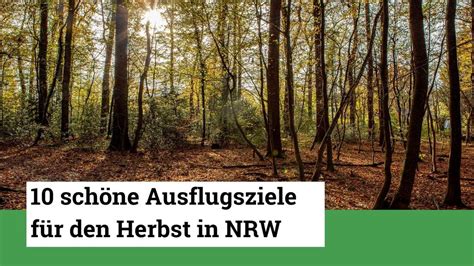 5 Familienwanderungen in NRW ideal für Ausflüge