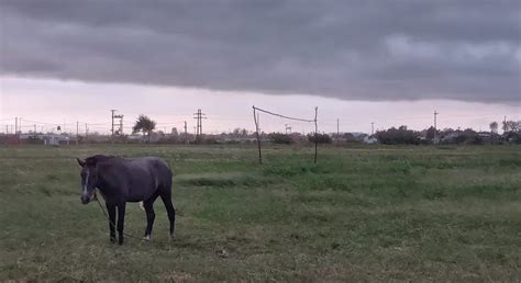 Alerta Rojo Por Tormentas En La Regi N Se Esperan Fuertes R Fagas Y