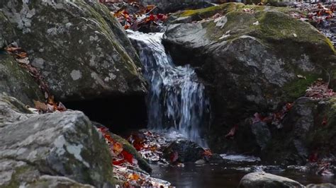 Nature Sounds Waterfalls Bird Songs Sleep Relaxation Meditation