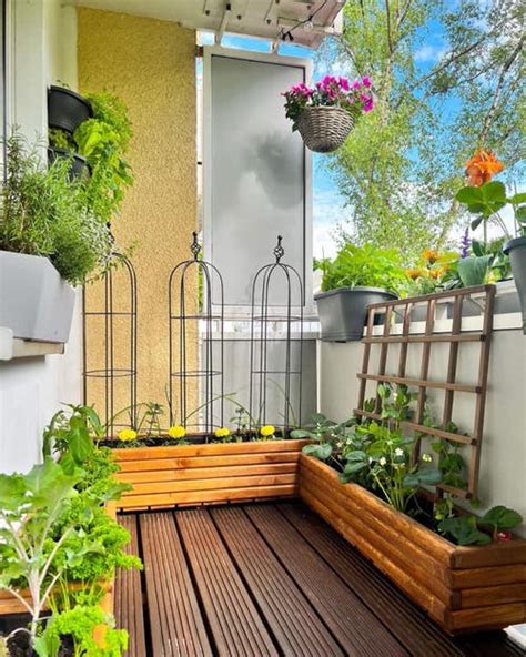 19 Balcony Gardening Tips to Follow Before Setting up a Balcony Garden