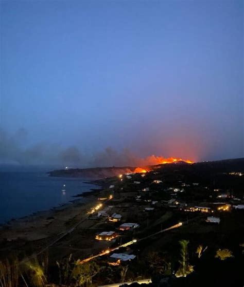 Il Wwf In Sicilia Il Degli Incendi Sono Dolosi E Inarrestabili