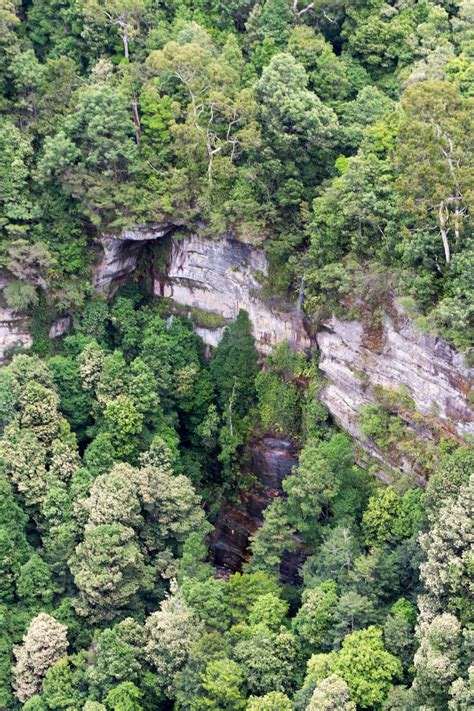 Download Experience the Magic of Blue Mountains National Park Wallpaper