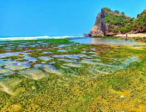 Lokasi Objek Wisata Pantai Nguyahan Gunung Kidul Jogja