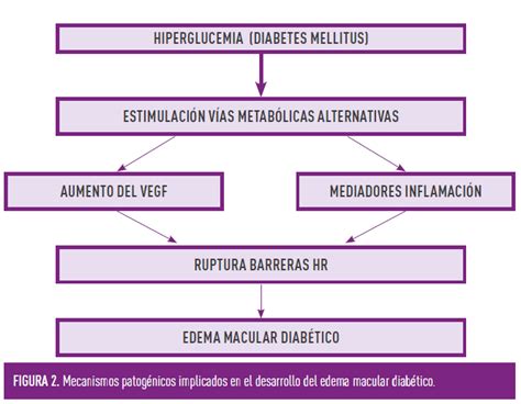 Edema macular en la diabetes Cómo abordarlo Revista Diabetes