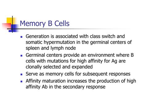 Ppt Biology Of The B Lymphocyte Powerpoint Presentation Free Download Id 726510