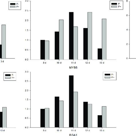 Gene Expression Of Key Genes In Ga Pathway Responsible For Flowering