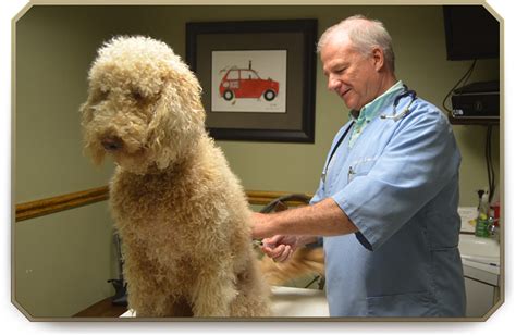 Hospital Tour And Photo Gallery Slidell Vet 70458 Pet Care