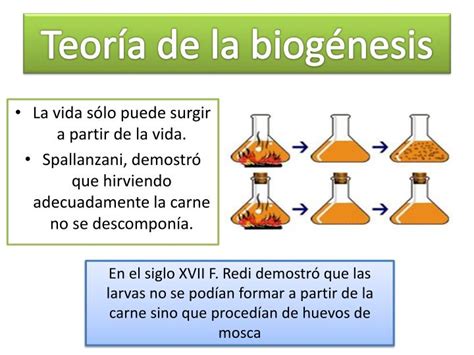 Ppt El Origen De La Vida Powerpoint Presentation Id6442867