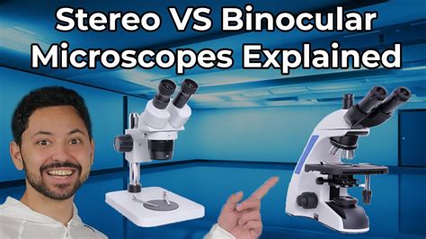 What Is The Difference Between Binocular And Stereo Microscopes Youtube