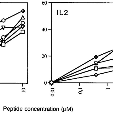 Production Of Cytokines By Six Bzlf1 Reactive T Cell Clones