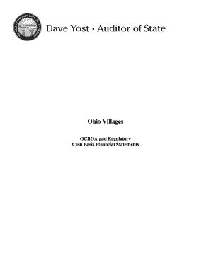 Fillable Online Auditor State Oh Village Financial Statements Ohio