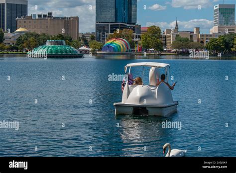 Orlando, Florida. October 12, 2019. Swan boats and swan at Lake Eola ...